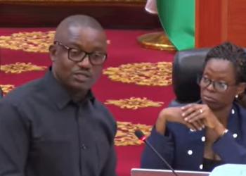 Energy and Green Transition Minister John Jinapor