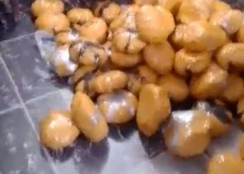 The seized drugs