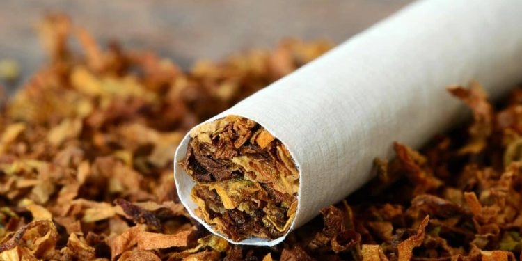 File Image of Tobacco