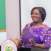 Vice President, Professor Jane Naana Opoku-Agyemang