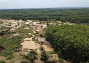 Rubber plantations destroyed by illegal miners in Western Region