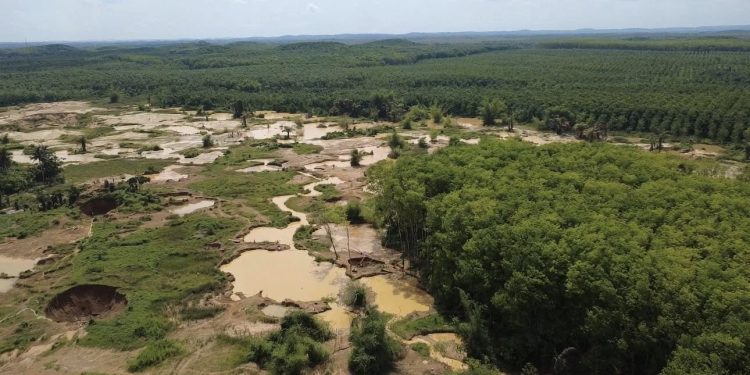 Rubber plantations destroyed by illegal miners in Western Region