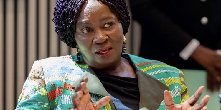 Vice President Professor Naana Jane Opoku-Agyemang