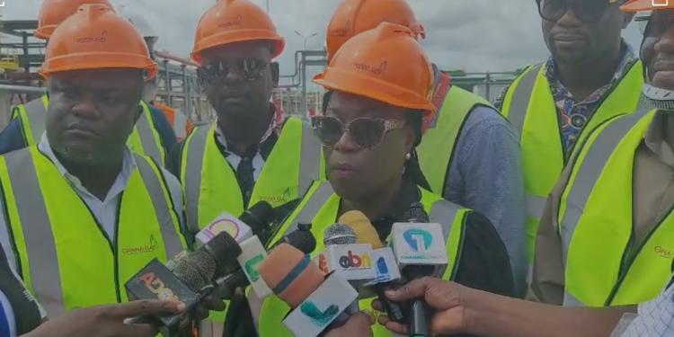 Chief Executive Officer of the Ghana National Gas Company, Judith Adjobah Blay with Parliamentary Committee on Energy