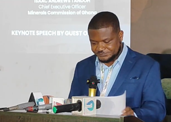 Chief Executive Officer of the Minerals Commission