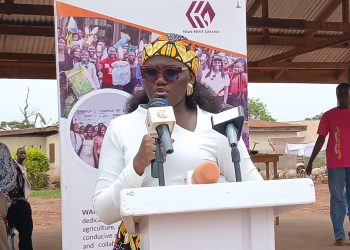 Chief Executive Officer of WAN-Hive Ghana, Janet Issifu.