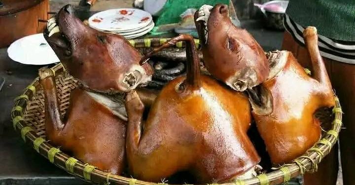 file image dog meat