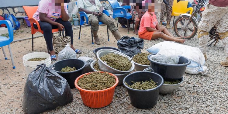 suspects arrested