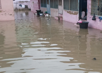 Some of the homes submerged
