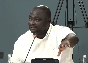 Vice Chairman of the Public Accounts Committee, Davis Opoku Ansah