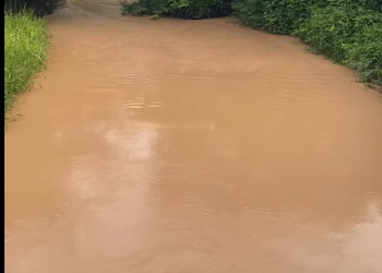 Tano River/File image o