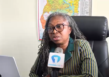 Commissioner of Insurance, Dr. Abiba Zakariah