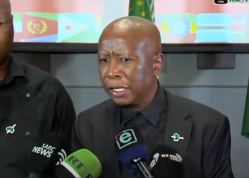 Economic Freedom Fighters leader Julius Malema