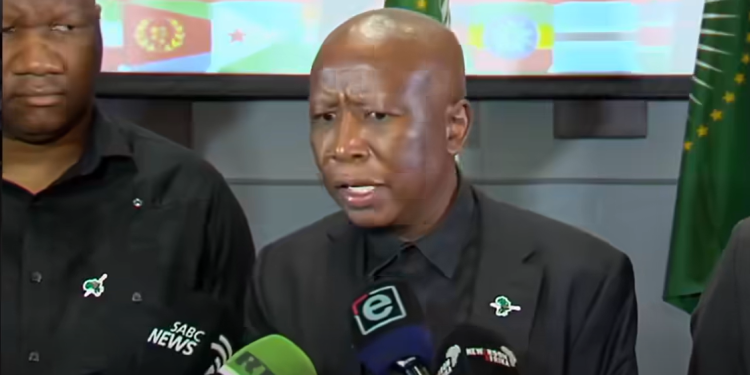 Economic Freedom Fighters leader Julius Malema