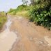 Akatsi-Ohawu road