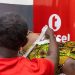 Over 300 pregnancies were scanned at the Telecel Foundation’s Rural Ultrasound in Kasseh – Ada