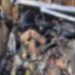 Tema aircraft crash victims