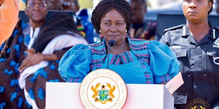 Vice President, Professor Jane Naana Opoku-Agyemang