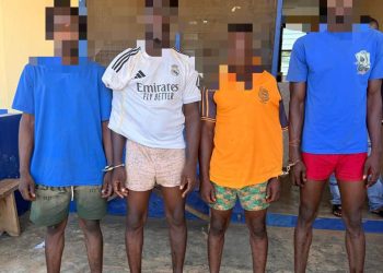 Armed robbery suspects