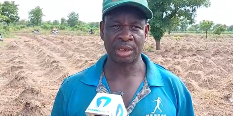 Farmer, Imoro Salifu Yours