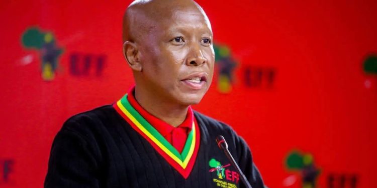 Leader of South Africa’s Economic Freedom Fighters (EFF), Julius Malema,