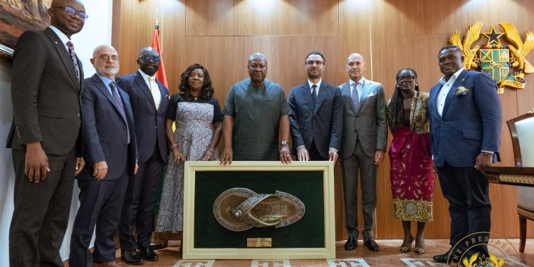 The leadership of Telecel Group pays a courtesy call on President Mahama to discuss long-term national investment and business priorities.