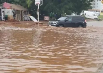 Flood
