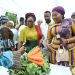 Deputy Minority Leader, Patricia Appiagyei, with the Member of Parliament for Savelugu Constituency, Hajia Fatahiya Abdul Aziz and women farmers