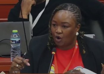 Head of South African delegation
at the 4th Inter-Parliamentary Conference,
Zandile Majozi