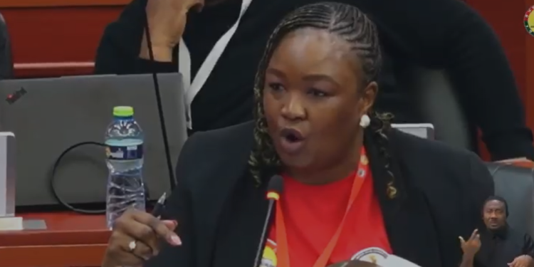 Head of South African delegation
at the 4th Inter-Parliamentary Conference,
Zandile Majozi
