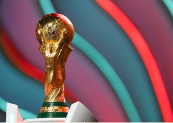 FIFA world cup / file image