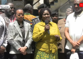 Vice President Professor Jane Naana Opoku-Agyemang