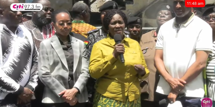 Vice President Professor Jane Naana Opoku-Agyemang