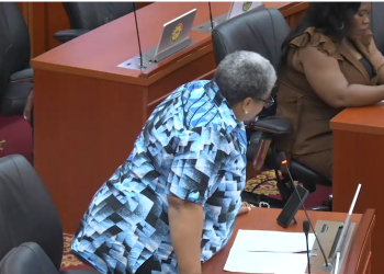 Deputy Minister for Works, Housing and Water Resources, Gizella Tetteh-Agbotui