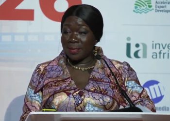 Minister for Trade, Agribusiness and Industry Elizabeth Ofosu-Adjare