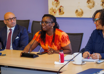 Ms Damilola Sobo Smith, Environmental and Social Risk Management Specialist at the International Finance Corporation  [middle]