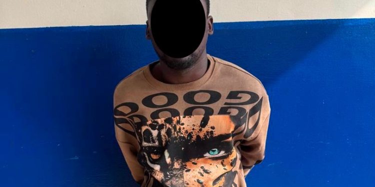 The suspect