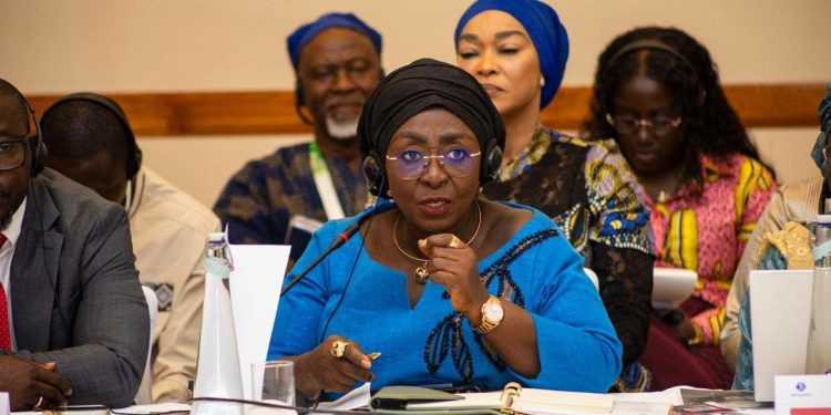 Minister for Tourism, Culture and Creative Arts Ablah Dzifa Gomashie