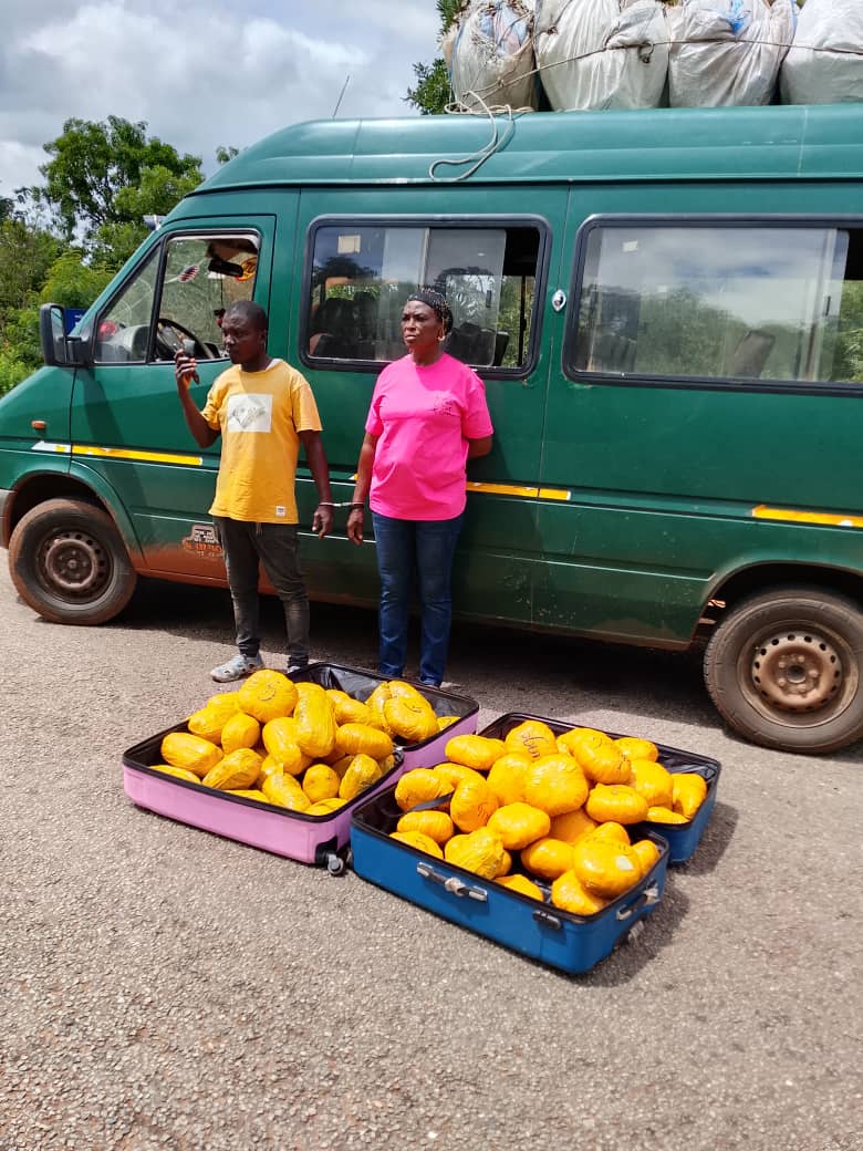 Police intercept 73 parcels of suspected cannabis, reject GH¢300K bribe; two arrested