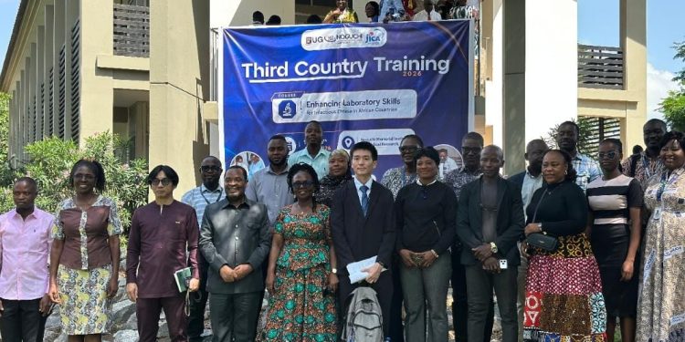Some of the African health professionals