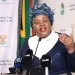 South Africa's Justice and Constitutional Development Minister, Mmamoloko Kubayi