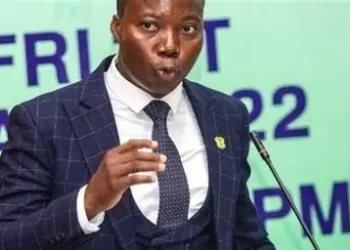 Minister of State for Climate Change and Sustainability, Cedric Dzelu