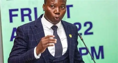 Minister of State for Climate Change and Sustainability, Cedric Dzelu