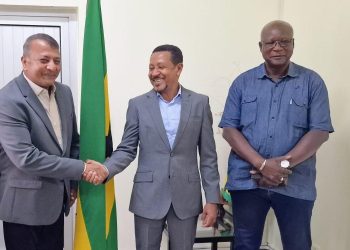Working meeting between H.E. Mr Nelson Cardoso, Minister of Infrastructure and Natural Resources of São Tomé and Príncipe, and the TECMON Energy delegation.