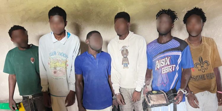 Some of the suspects